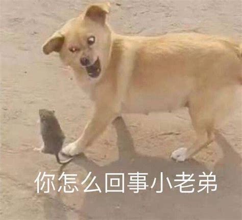 怎么回事呢